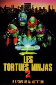 Les Tortues Ninja 2 : Les Héros sont de retour