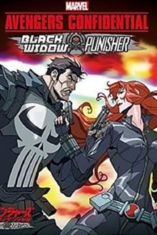 Avengers Confidential: Black Widow & Punisher (2014)