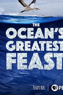 The Ocean’s Greatest Feast (2022)