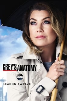 Grey’s Anatomy Season 12