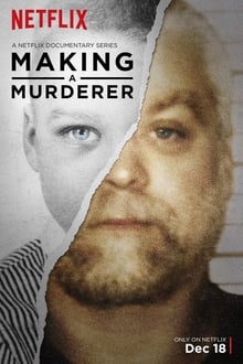 Making a Murderer Season 1