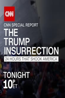 The Trump Insurrection: 24 Hours That Shook America (2021)