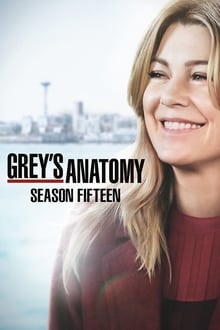 Grey’s Anatomy Season 15