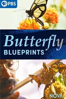 Butterfly Blueprints (2022)