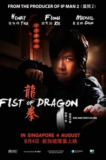 Fist of Dragon (2011)