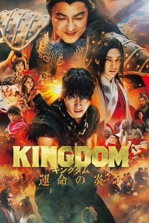 Kingdom 3: La flamme du destin